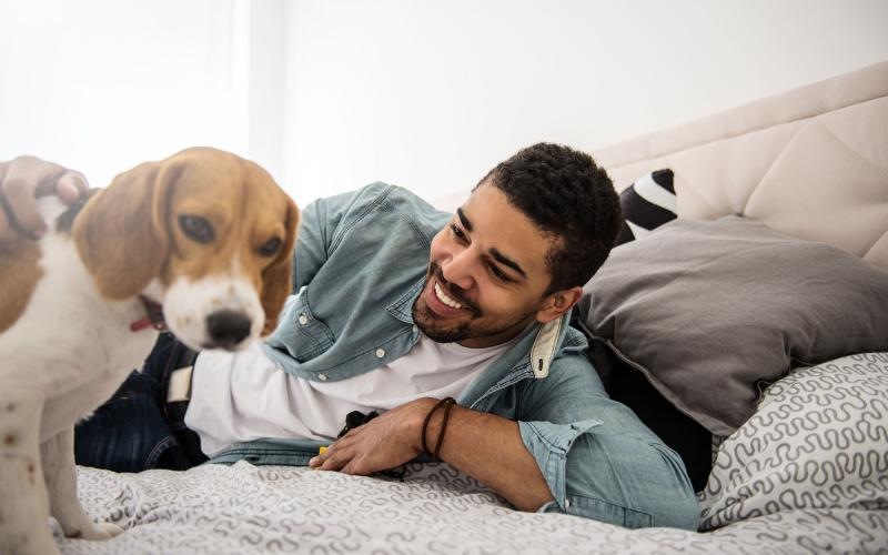 man smiles and pets his dog on a bed